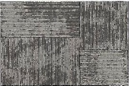 [DT-ALL-252 BROWN] BAM CARPET