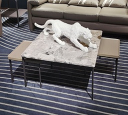 [BS271-1] COFFEE TABLE