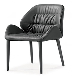 [F244P/X-T] DINING CHAIR