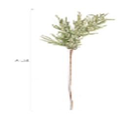 [GYP-KSWW-49 FLOWER] BAM SOUVENIR