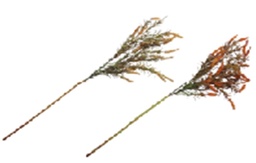 [GYP-HY-01 F291 PLANT] BAM SOUVENIR