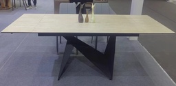[DT8995] DINING TABLE