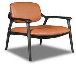 [BD-S5602] LEISURE CHAIR