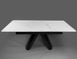 [A929-1] DINING TABLE
